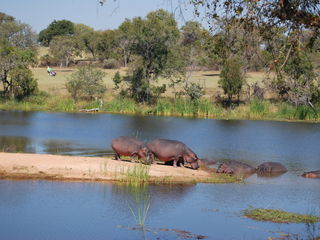Skukuza