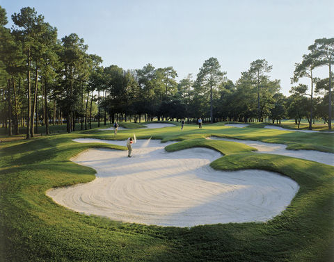 Silver Springs Shores - Golf Florida • Pin High