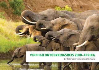 Ontdekkingsreis Zuid-Afrika